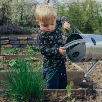 Children planting in a forest school garden area