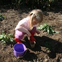 Children planting seeds during a forest school session