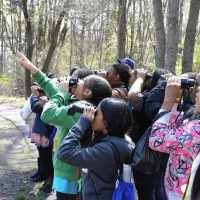 Children birdwatching during a forest school session