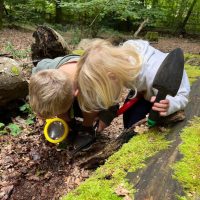 Exploring insects up close during a forest school session